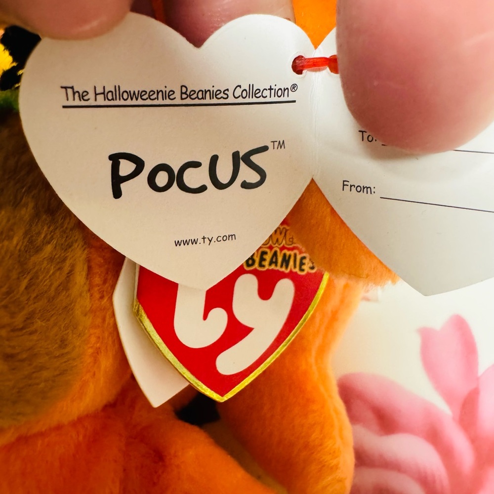 Halloween Beanie Babies lot Treator, Pocus, Treatsies, bean bears - Picture 7 of 10